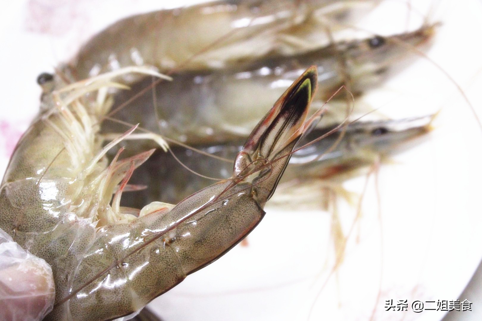 养殖虾和海虾的虾须有区别吗,野生大虾和饲养虾营养价值区别