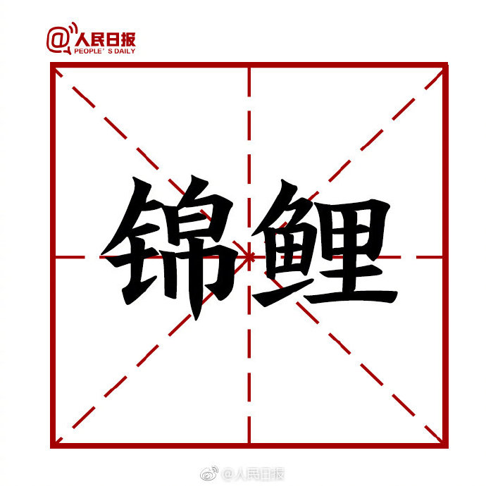 网络最新十大用语及解释,网络十大最火网络用语