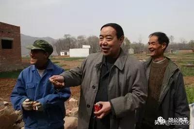 贾平凹人大代表,贾平凹作协副主席