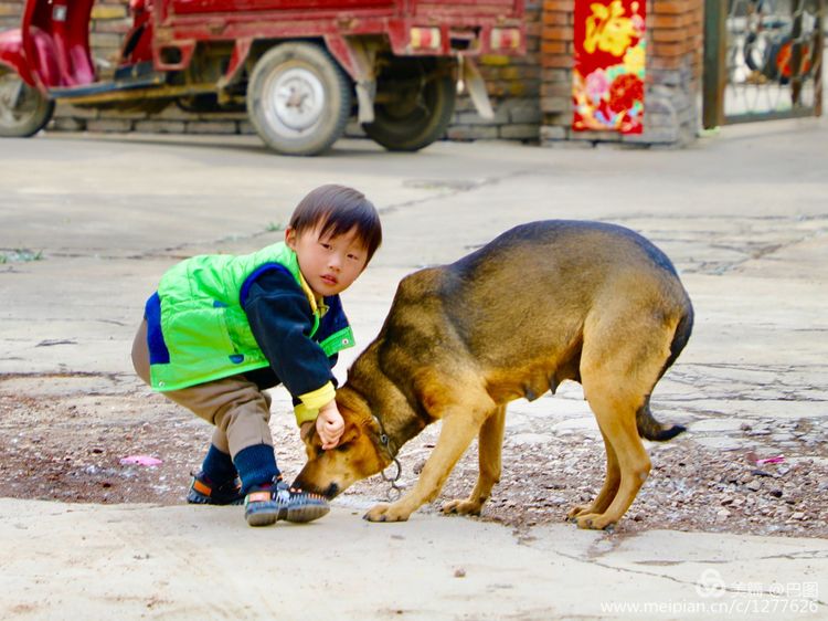 金色童年8张图片,金色的童年相片