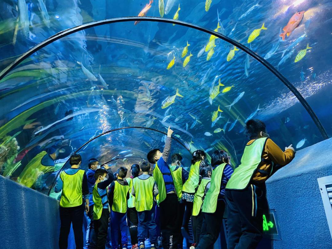 海洋馆奇妙夜,海洋馆探索海洋世界