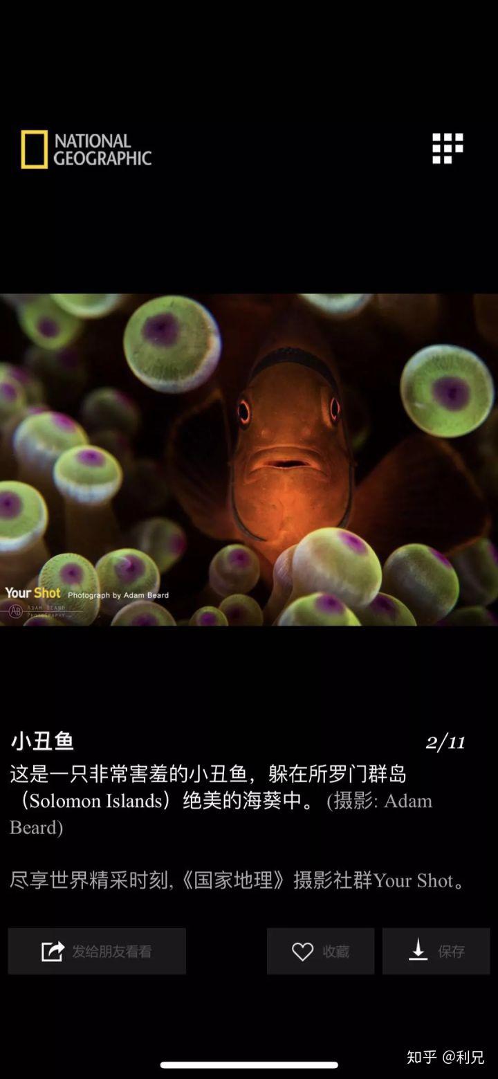 十款堪称神器的免费app软件,十款必备的实用app工具