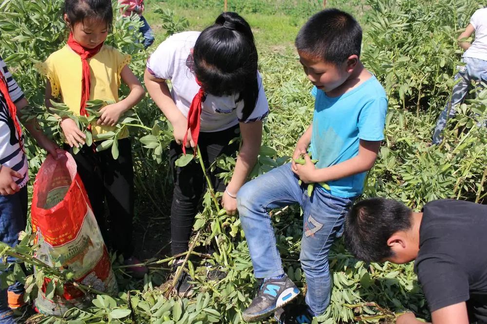 临安最好的小学是哪个,临安小学入学要求