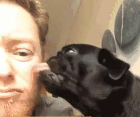 每天掉100根头发会变秃头吗,头上有多少根头发算秃头