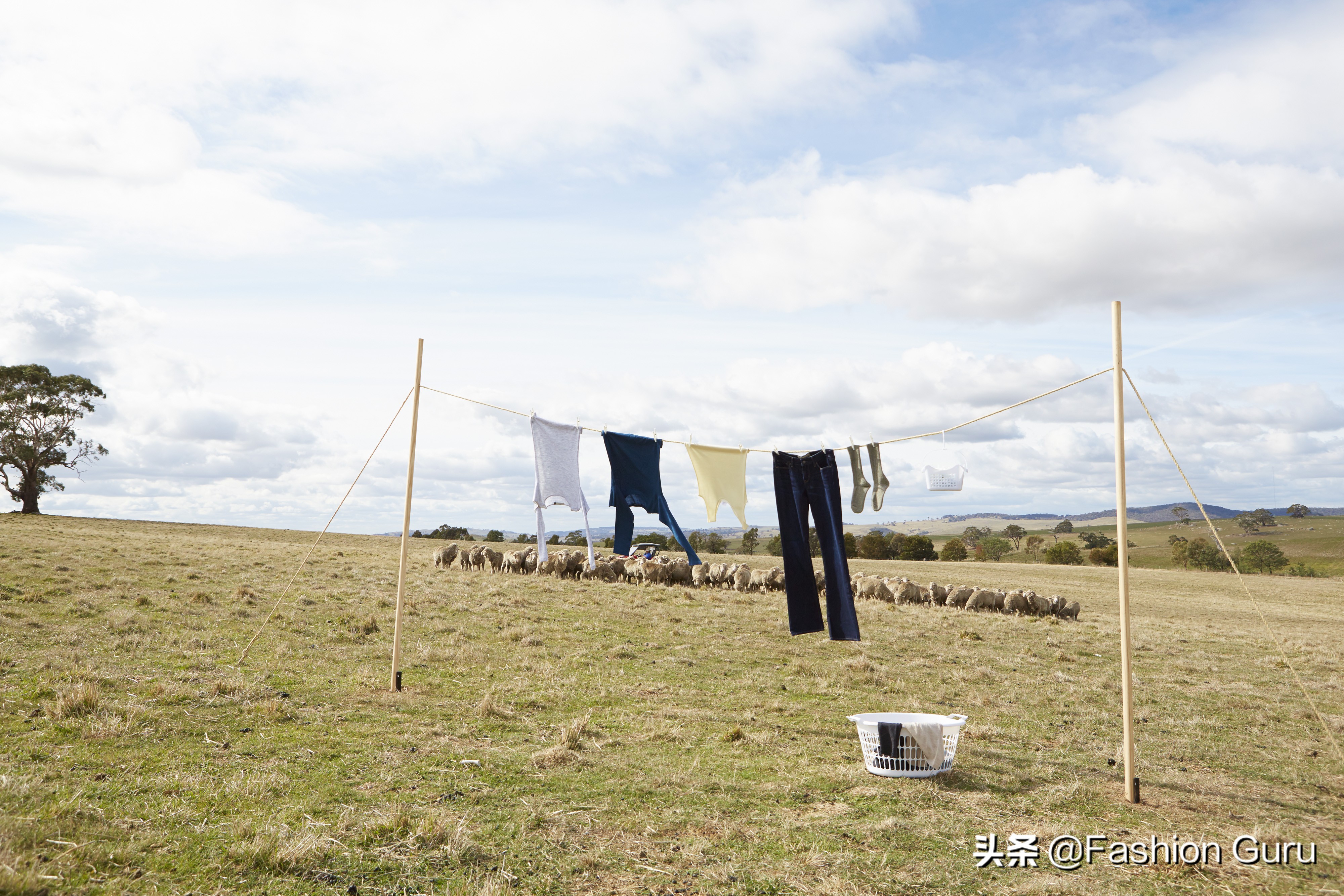 羊毛类衣物都有哪些,羊毛衣物的优缺点