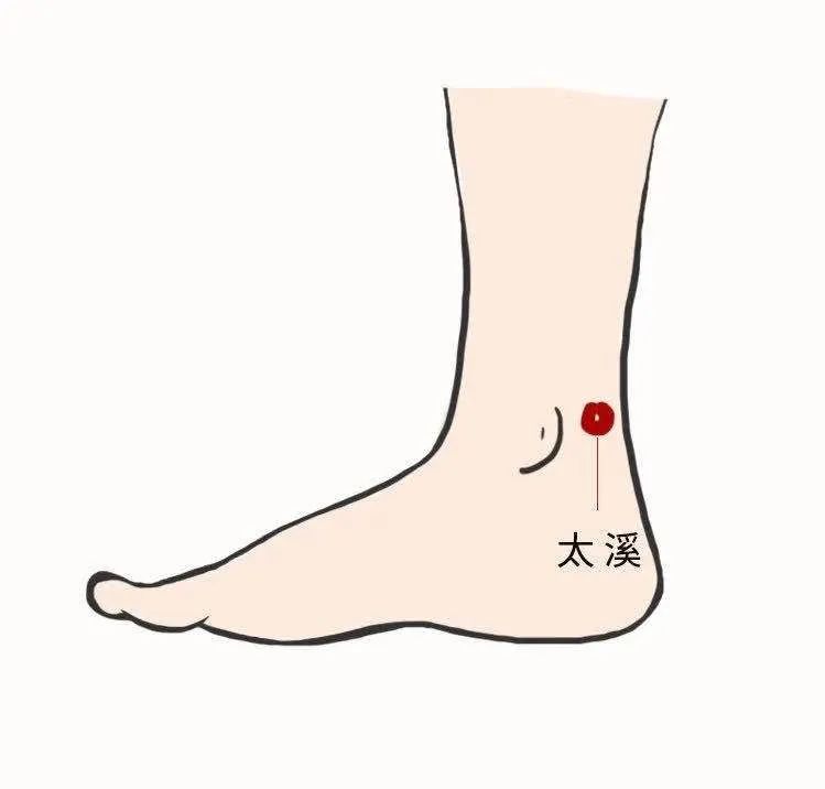 今日入伏养生艾灸,今日入伏如何灸