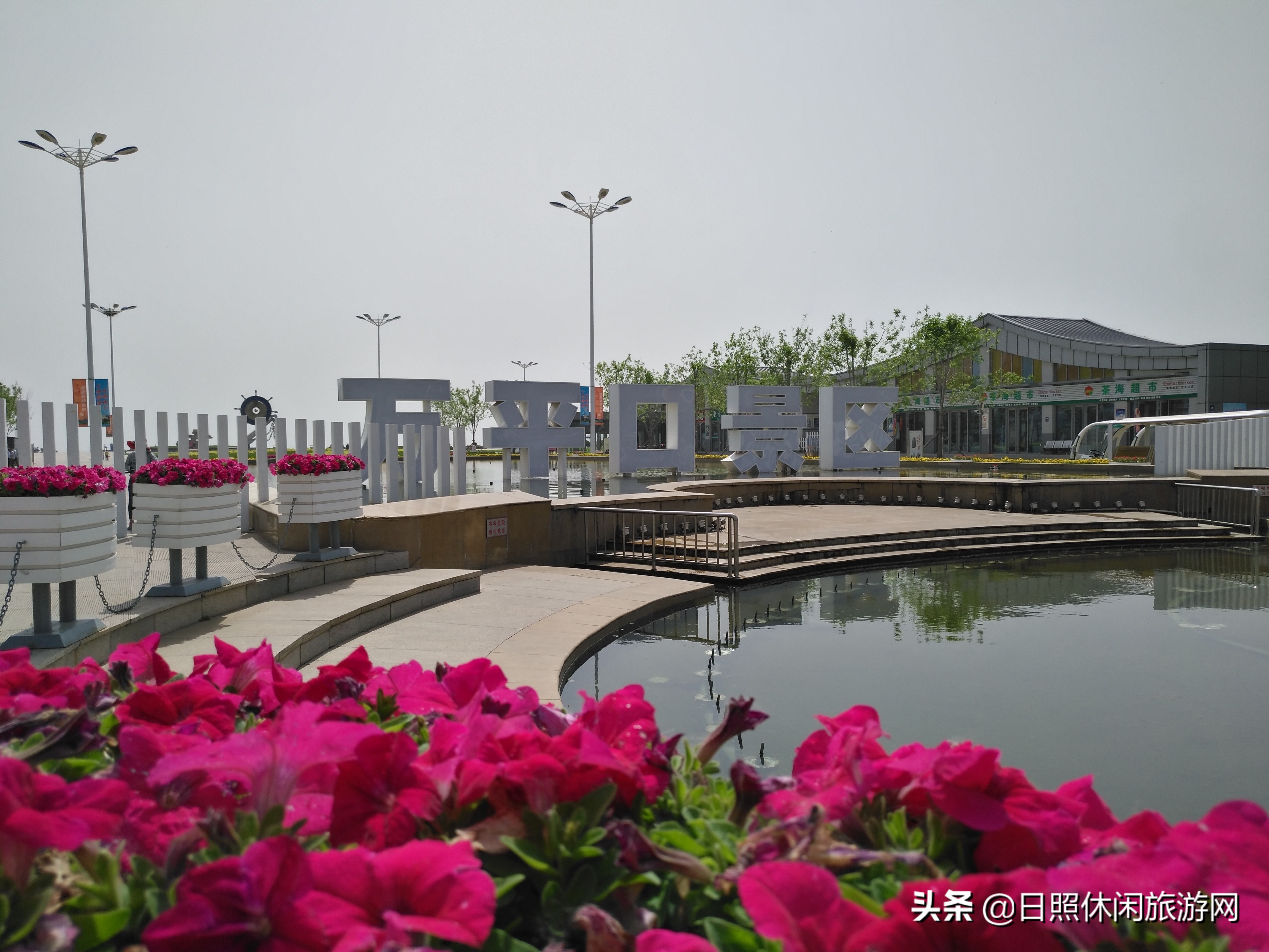 日照绿茶价格表,日照文旅