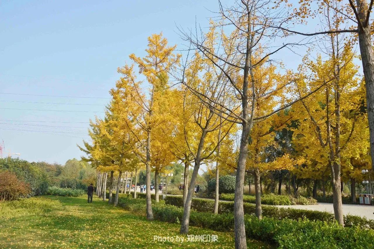 郑州漂亮的秋色风景,郑州的这些湖畔藏着最美的秋色