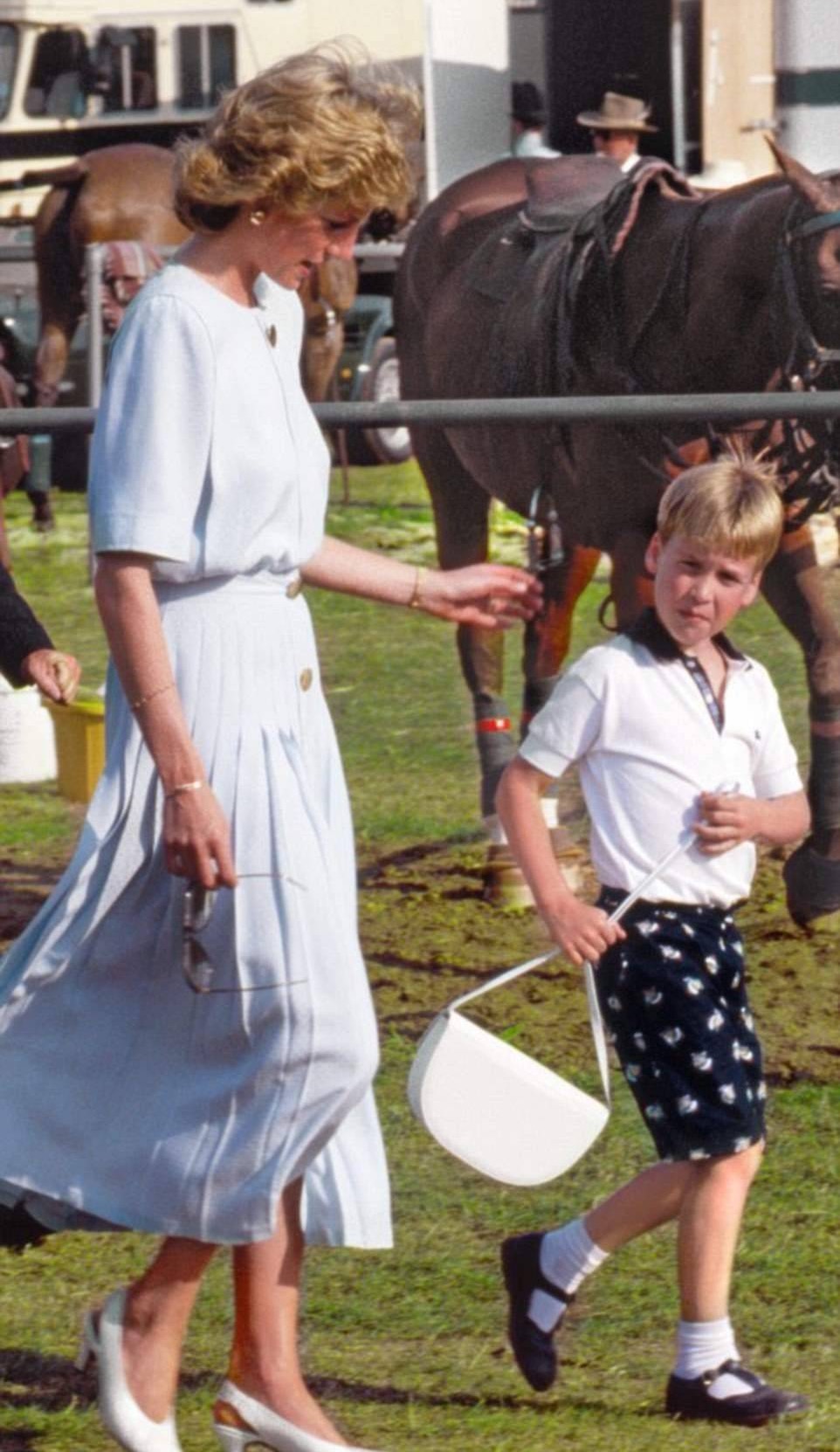 戴安娜的叛逆,戴安娜叛逆