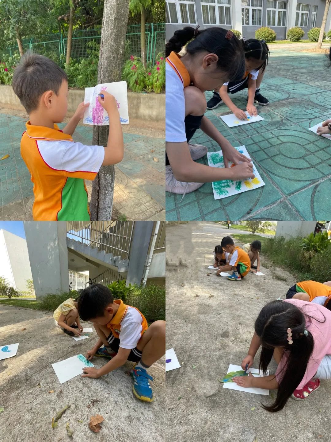 271教育课堂,271教育四节课程是啥