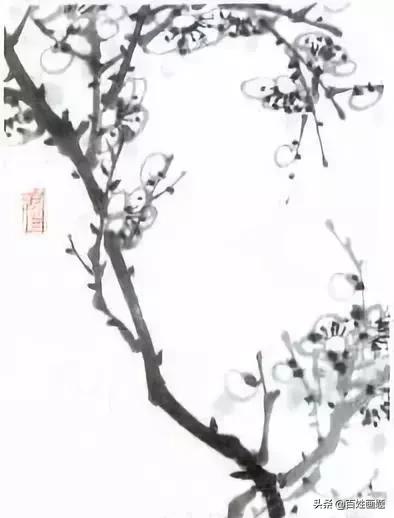 国画梅花画法视频,徐湛梅花画法教程