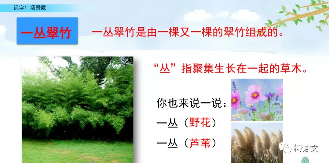 二年级上册语文识字歌重点归纳,部编版二年级语文上册识字复习