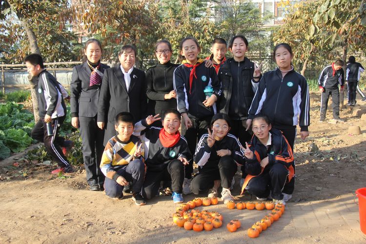 昌乐齐都实验学校：举行第四届“柿子熟了”采摘节活动