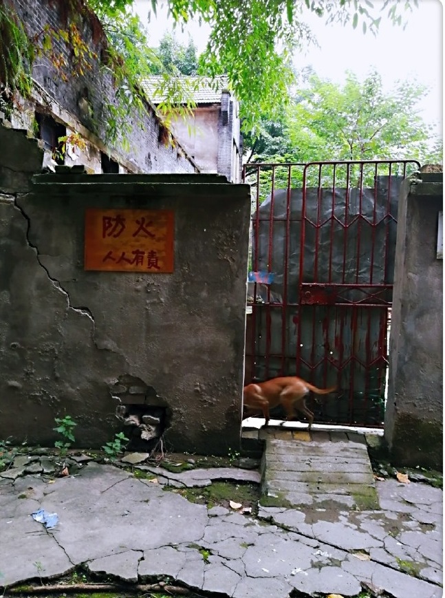 百年老宅发现神秘影子,重庆江北董家溪老照片