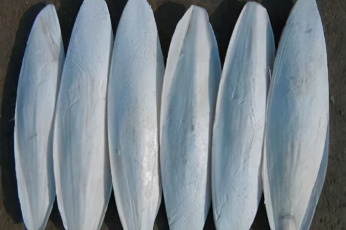 鸽子补钙什么钙好用,鸽子补钙可以用钙粉吗