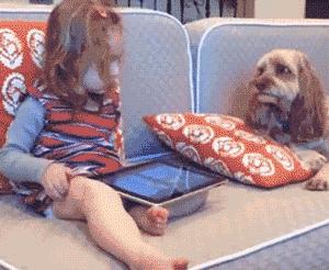 狗狗被孕妈肚子里的宝宝踢了一脚,狗狗怀孕宝宝踢肚子会生吗