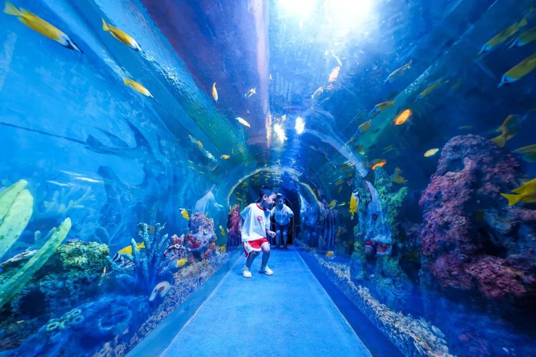 水世界海世界欢乐部落,桂林欢乐谷和融创海世界攻略
