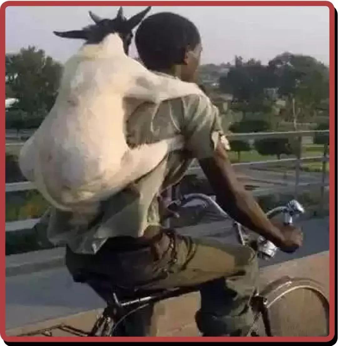 非洲黑叔叔的人体物流有多猛?