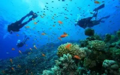 全球惊艳的10个海底世界，看到第一个就想出发！