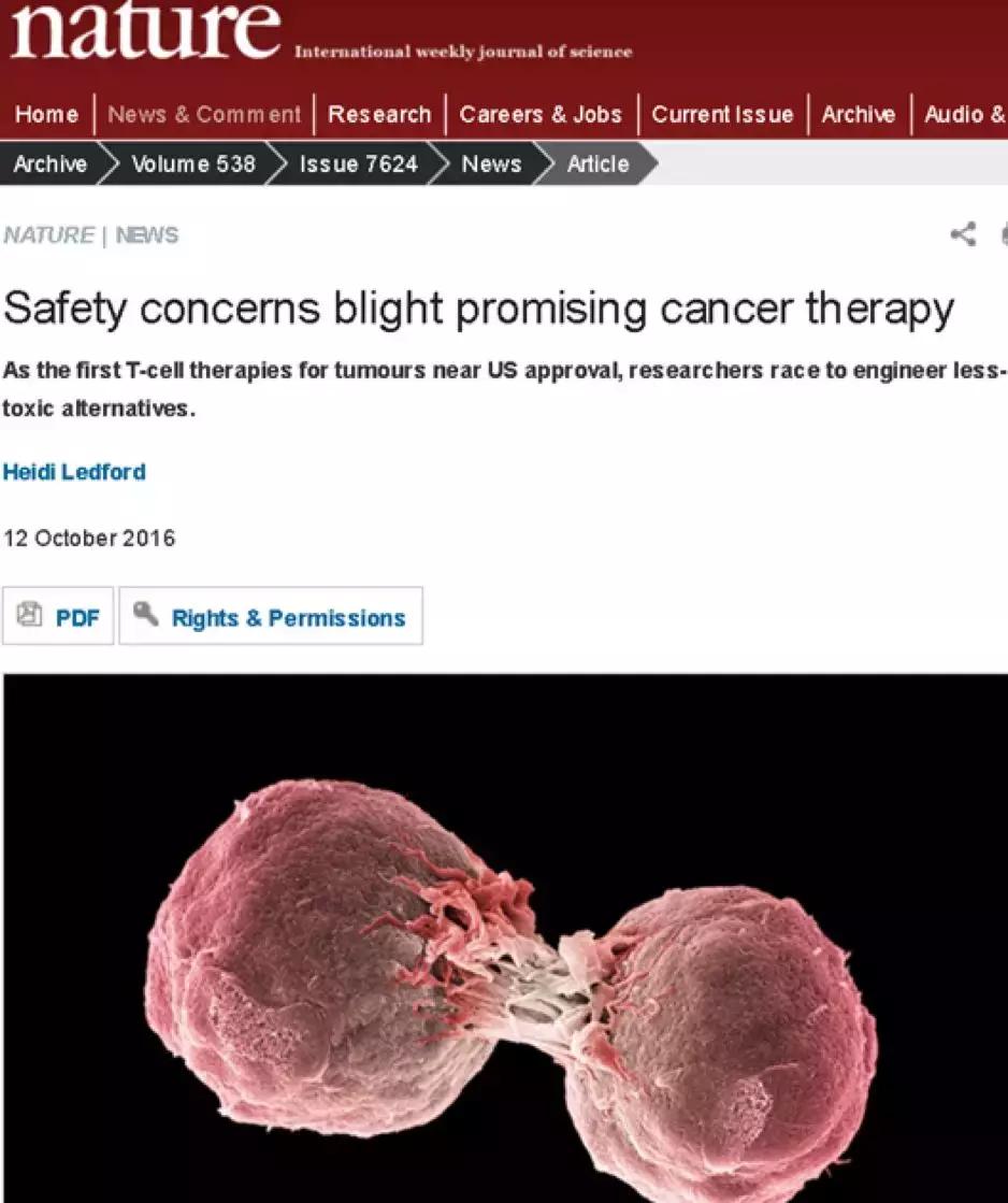 魏则西事件续集？细胞治疗新规引争议|赛先生