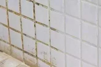 追求美的路上做到极致,追求美是唯一且正确的事