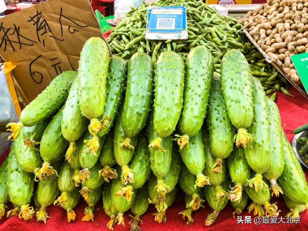 最便宜的早市品种,北方早市有哪些品种