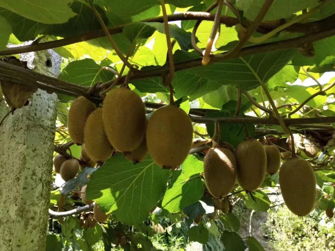 閬傛槍閫傚悎绉嬪ぉ鍘荤殑鍦版柟,閬傛槍鏃呮父缇庢櫙