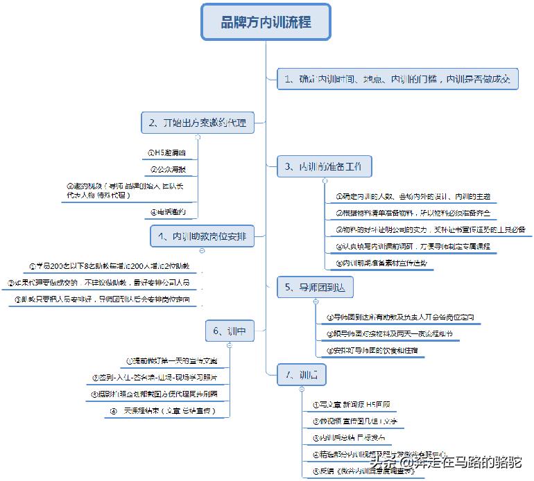 公司品牌运营案例,某品牌营销策划
