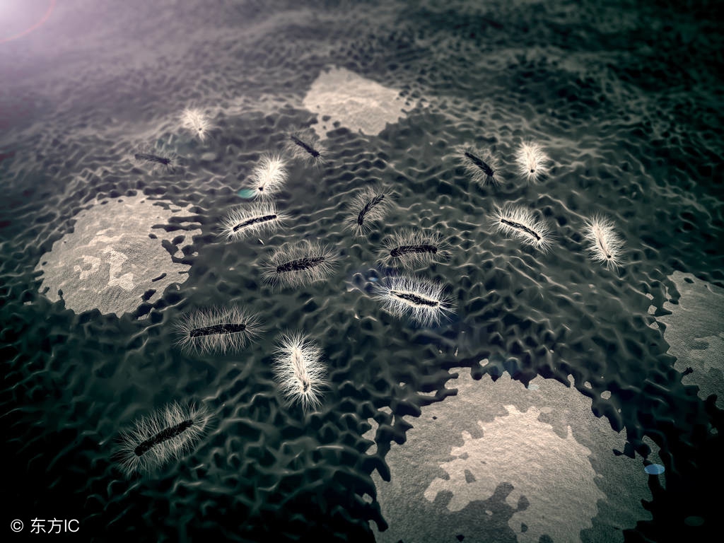 吃了口红对身体有没有危害,误吃防腐剂对人体的危害