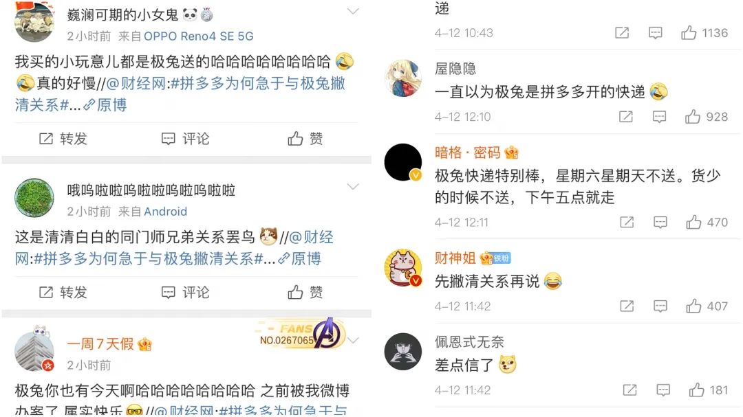 疯狂的兔子被撞,疯狂的兔子被小鸡啄
