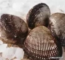 好吃又便宜的奇特海鲜,有一种很古怪的海鲜