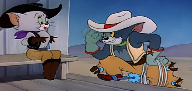 猫粮多少钱一袋云南省,猫粮多少钱一斤什么价