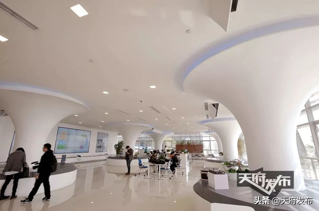 天府新区一号工程,成都天府新区2024年竣工项目