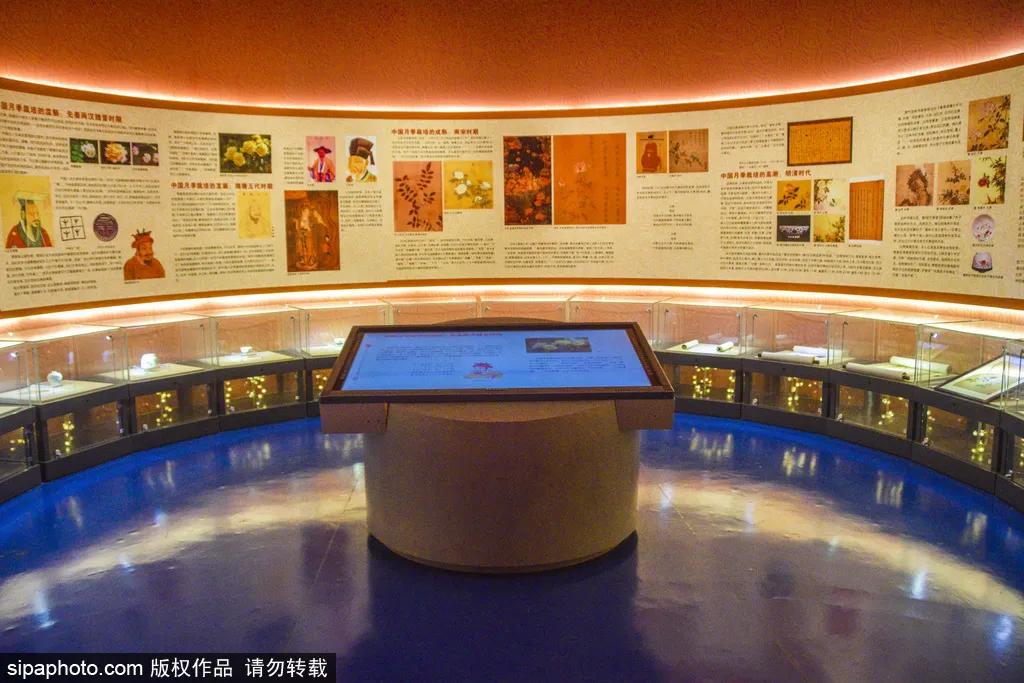 全球最美十大花海美到令人心醉,全球最漂亮花海