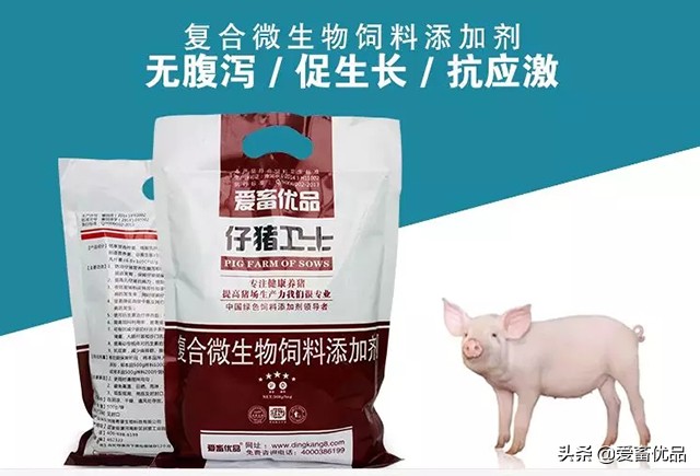 仔猪传染性腹泻怎么治效果好,仔猪传染性肠胃炎该怎么治