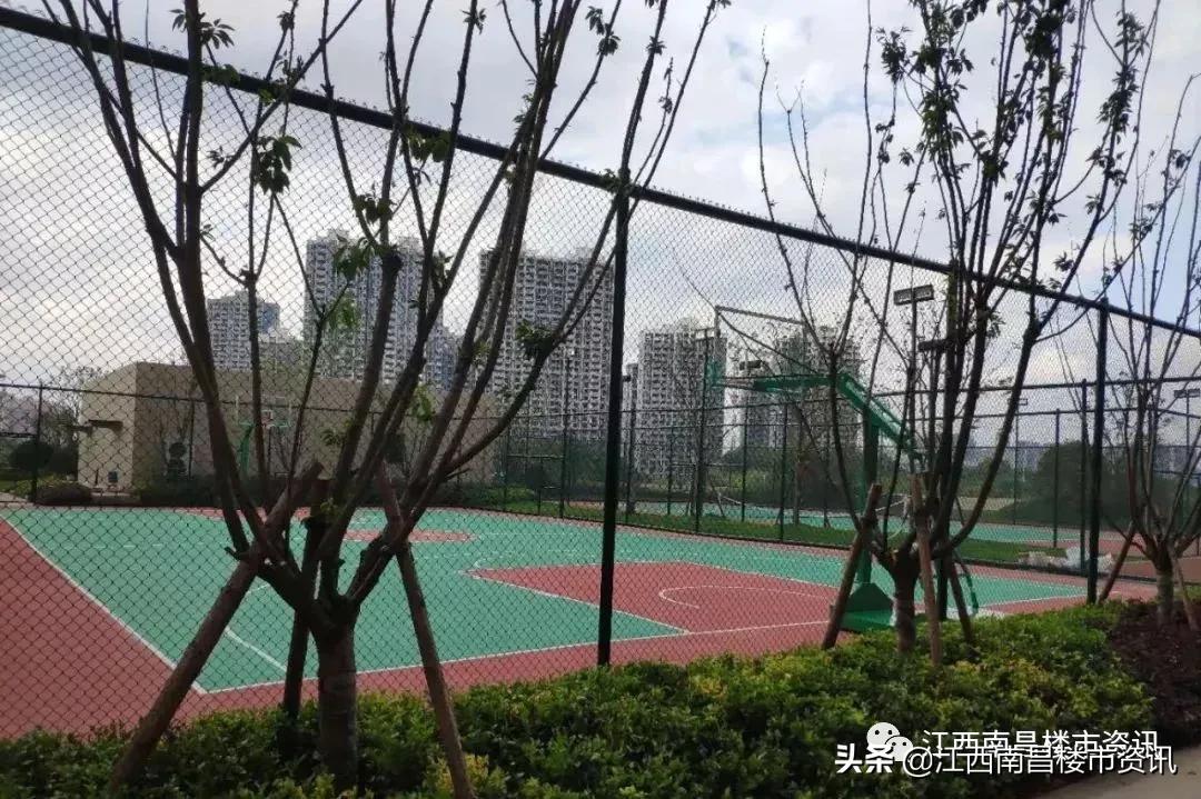 新力东园能交房吗,新力东园还有房在卖吗