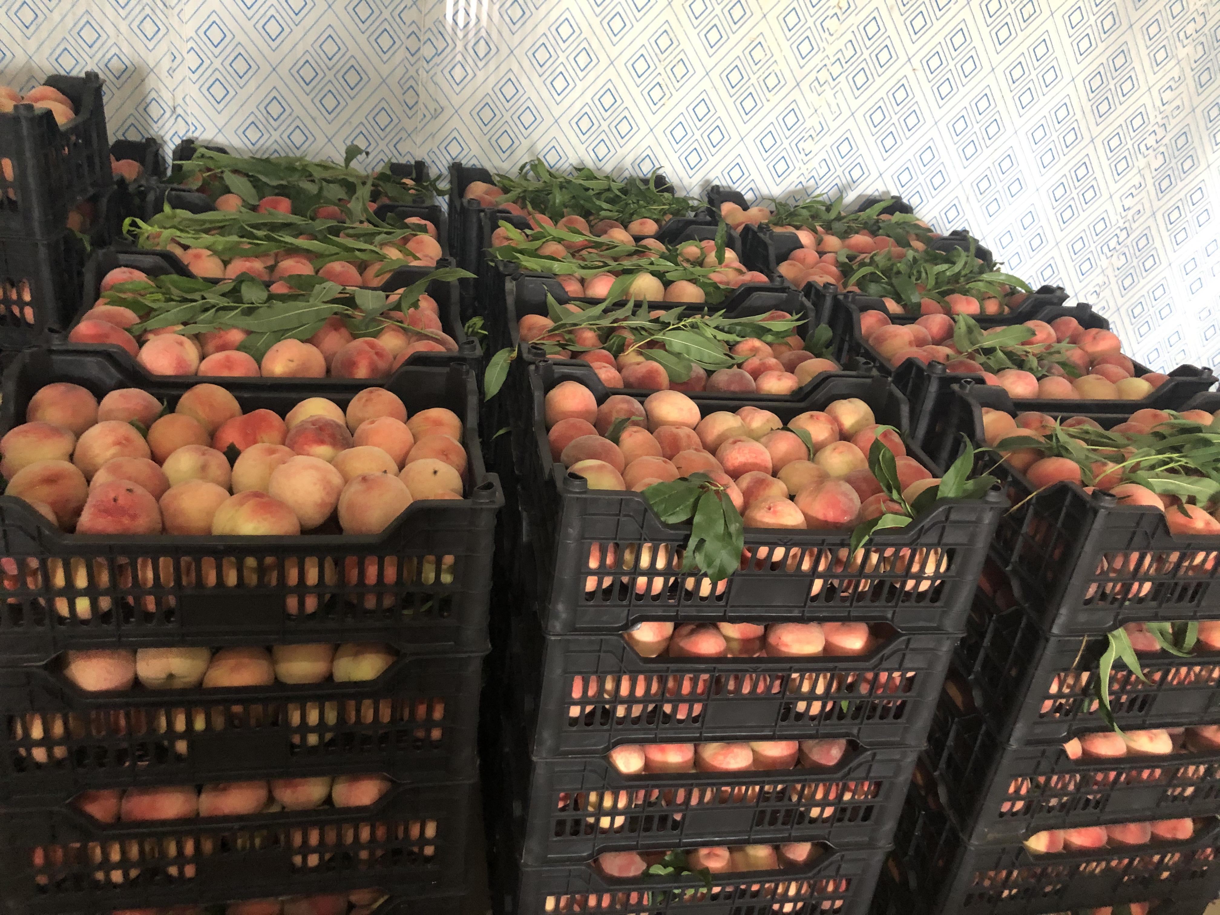 党建引领聚合力乡村振兴添活力,党建引领聚合力基层治理提质增效