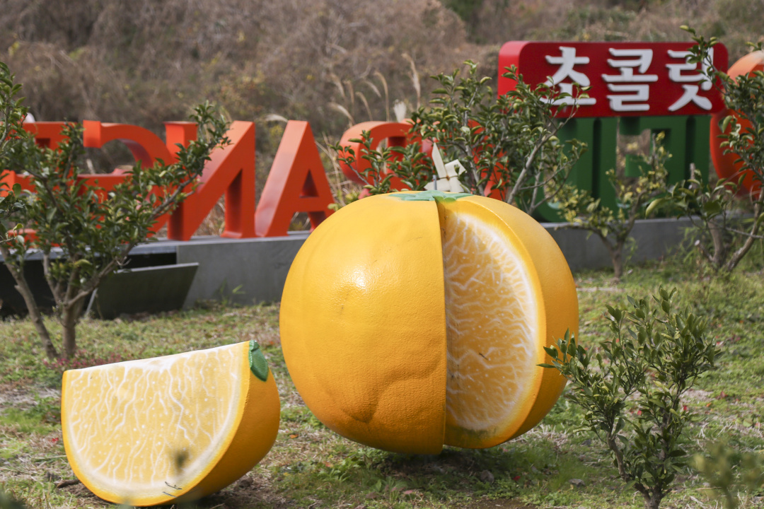 济州岛四天三晚旅游攻略,济州岛四天三晚旅游攻略图