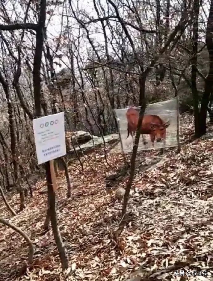 怎么样判断一个男生直不直男,怎么判断一个男的直不直男