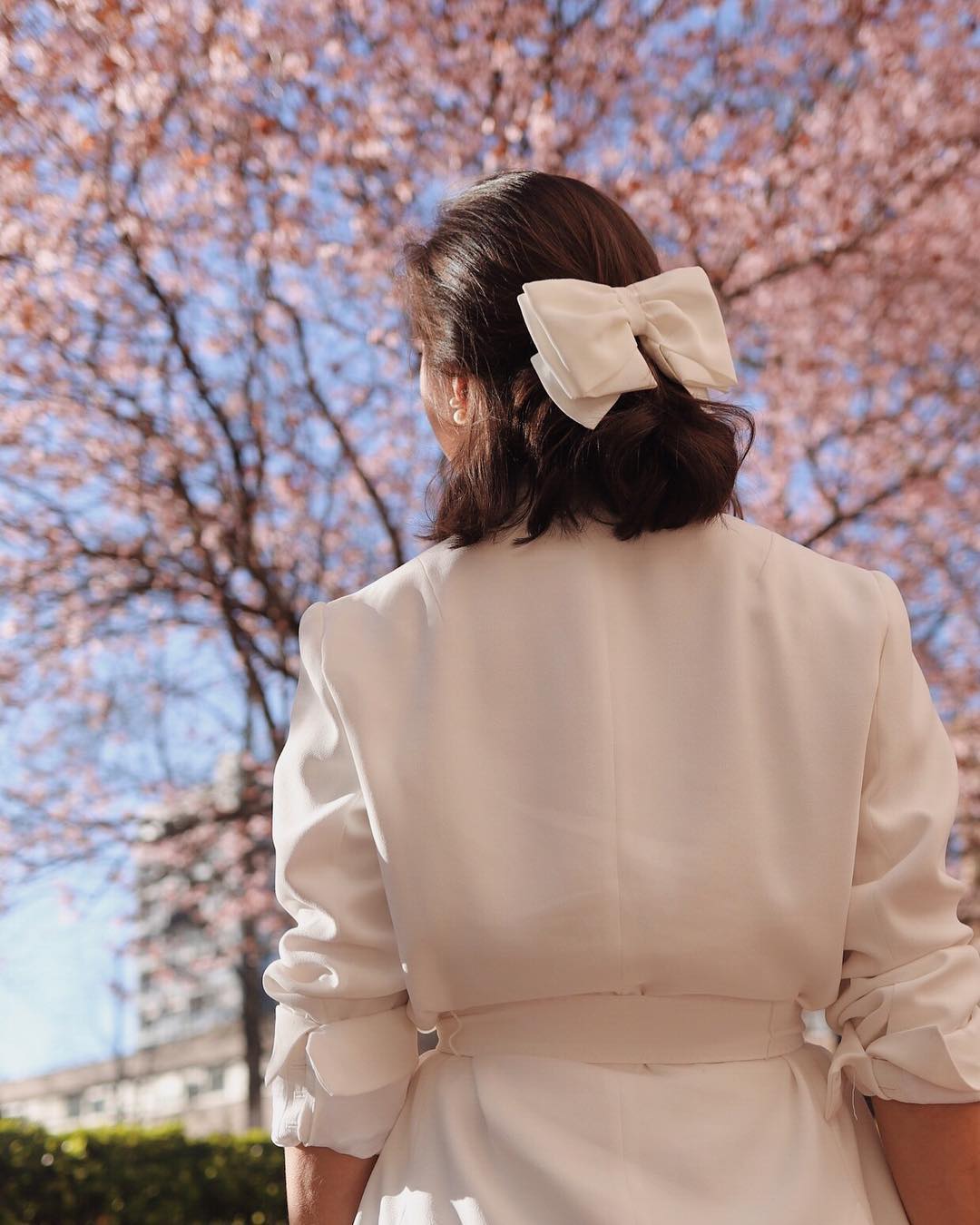 适合夏天的蝴蝶结,披头散发打蝴蝶结