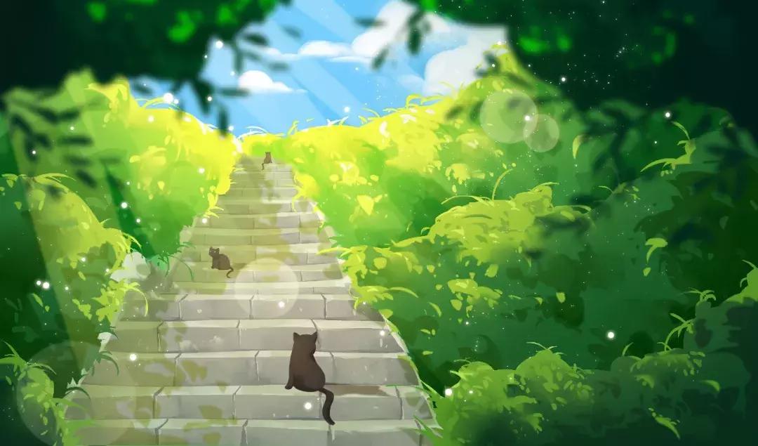 夏天的古诗词唯美,诗词里的夏天朗诵