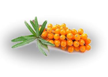 香娜露羊胎素绵羊油滋养霜,香娜露儿羊胎素面霜