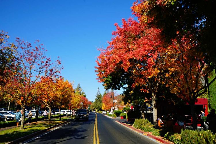 美国德州西部自由行,美国西海岸可以自由航行么