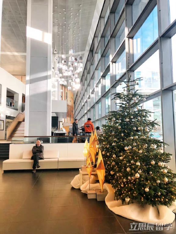 德国埃尔朗根-纽伦堡大学是一所怎样的大学?