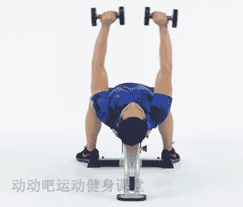 哑铃锻炼全身肌肉最好的动作,哑铃锻炼全身肌肉的方法