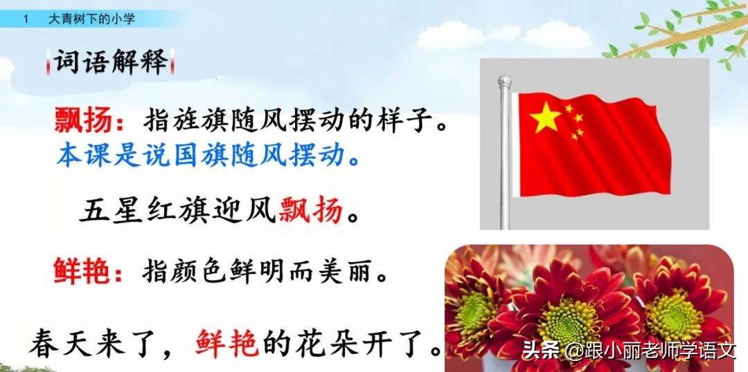 大青树下的小学必会知识点,大青树下的小学必考知识点