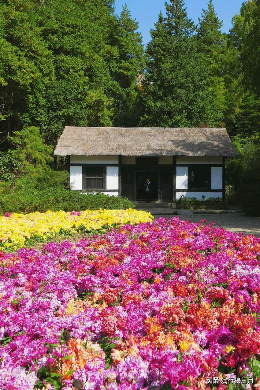 人间芳菲十月,人间四月芳菲尽硬笔楷书