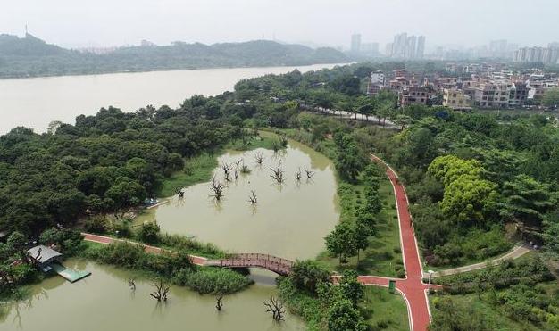 广州第一强镇,2024年广州市江高镇gdp