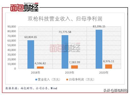 双枪科技的估值,双枪科技股票发行价多少