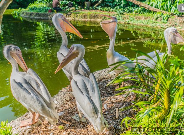 乐高世界最震撼的乐园,乐高超大型主题乐园搭建